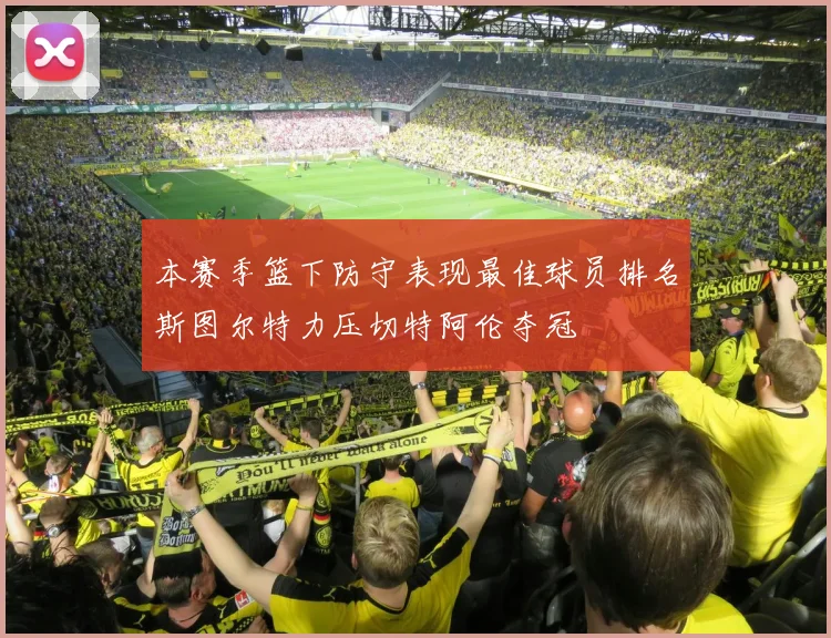 本赛季篮下防守表现最佳球员排名斯图尔特力压切特阿伦夺冠
